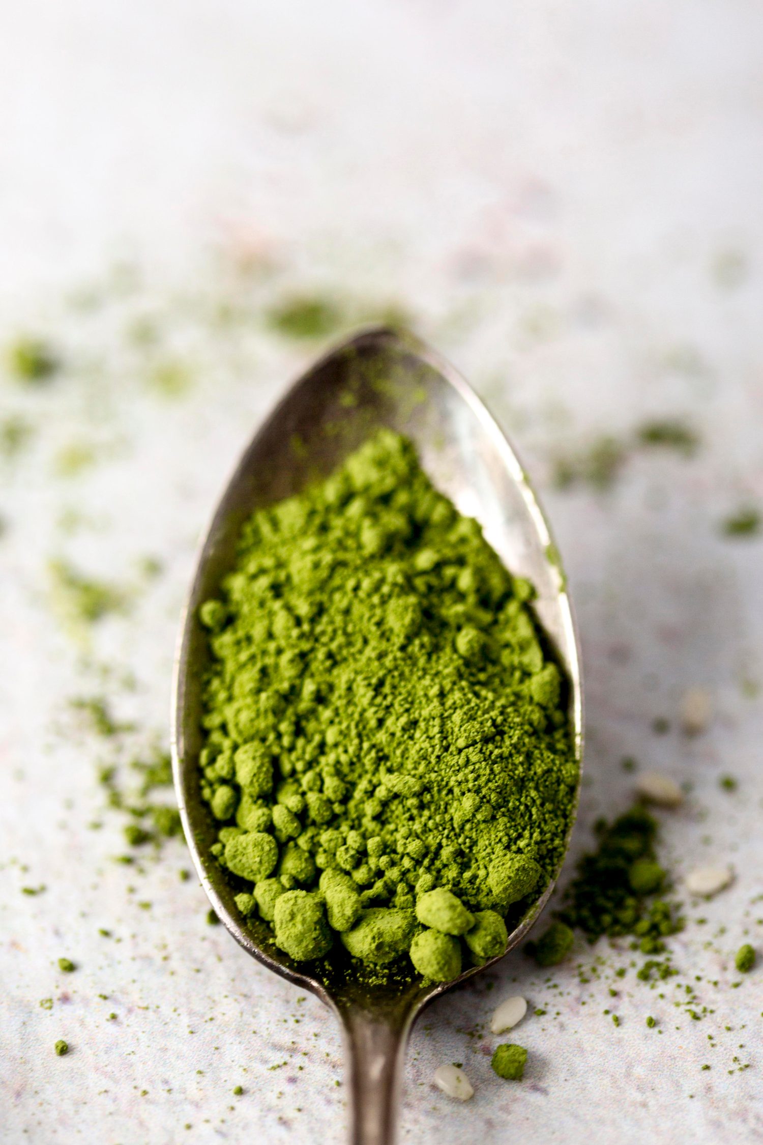 moringa najhranjivija namirnica