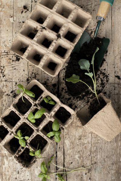 vrtlarski priručnik za proljetnu sjetvu