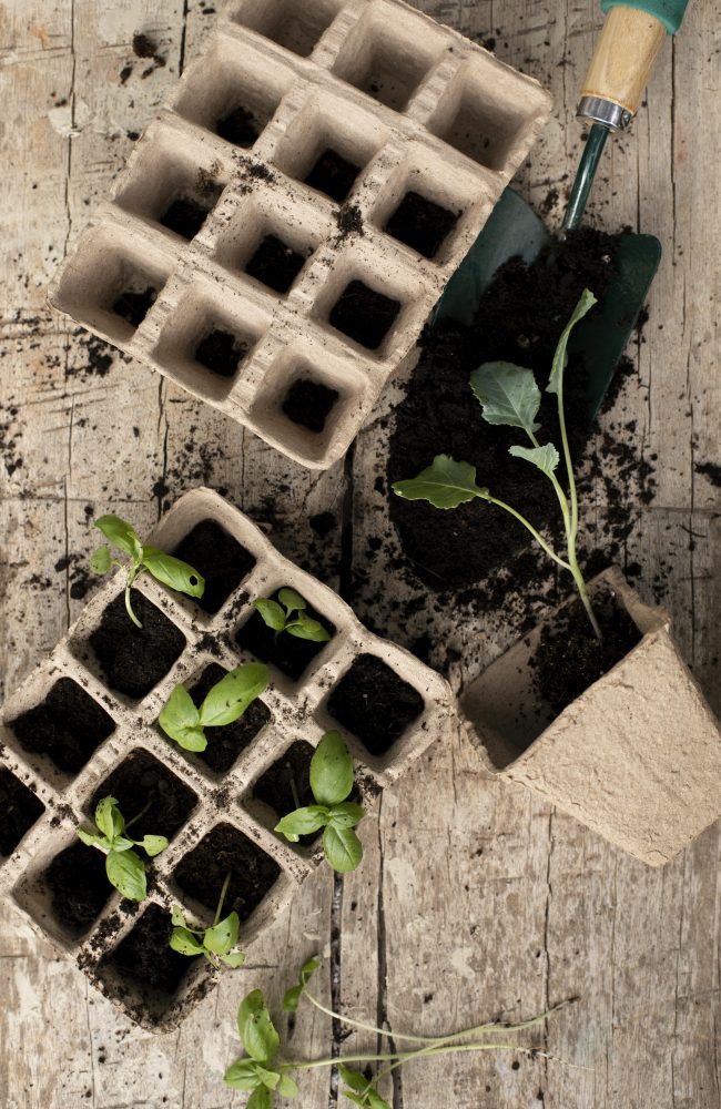 vrtlarski priručnik za proljetnu sjetvu