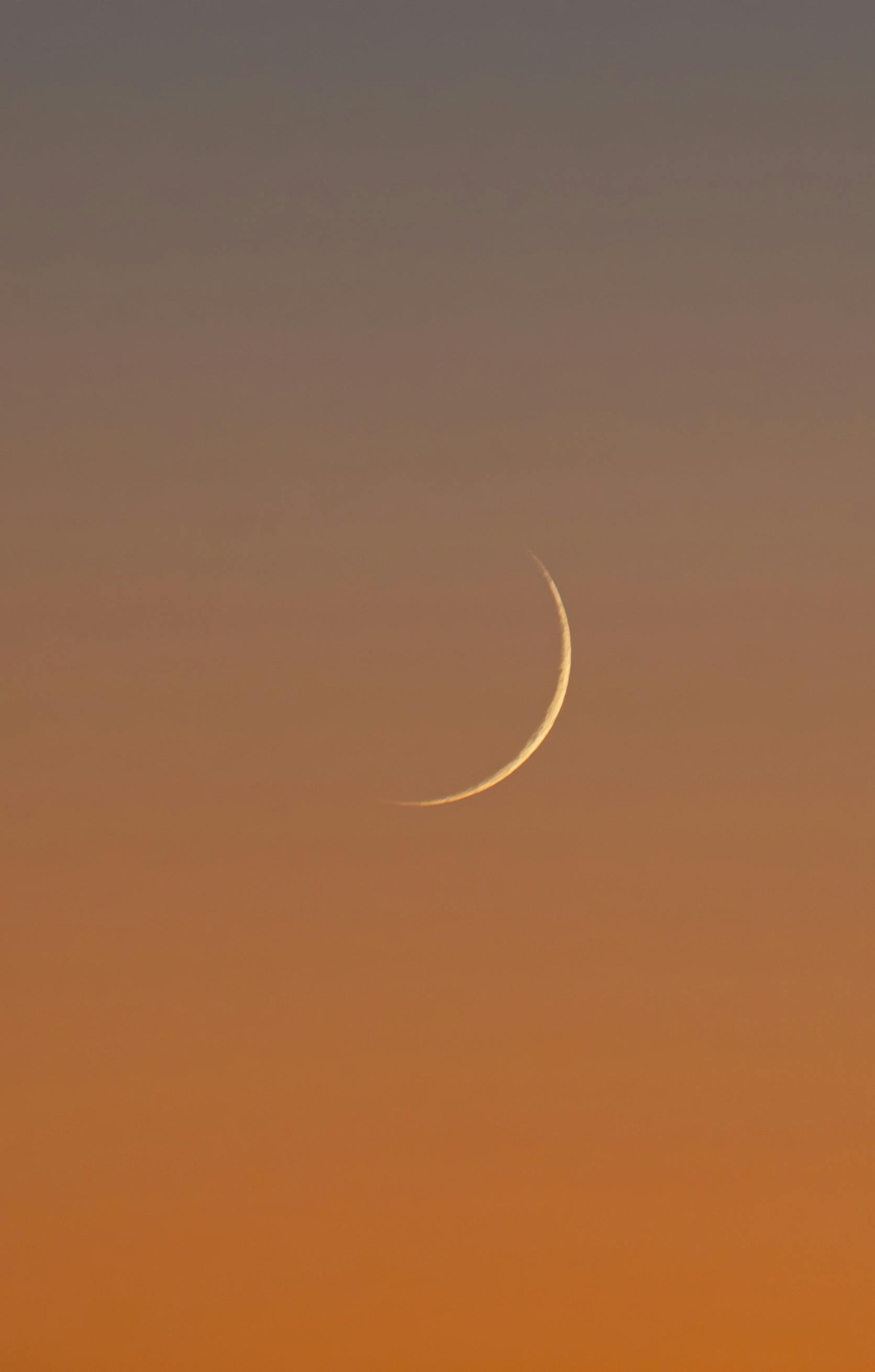 mladi mjesec u jarcu