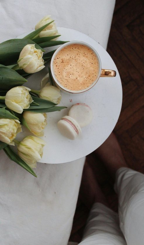 jestive latice tulipana