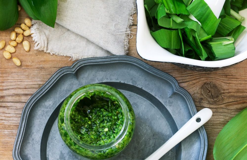 pesto od medvjeđeg luka recept