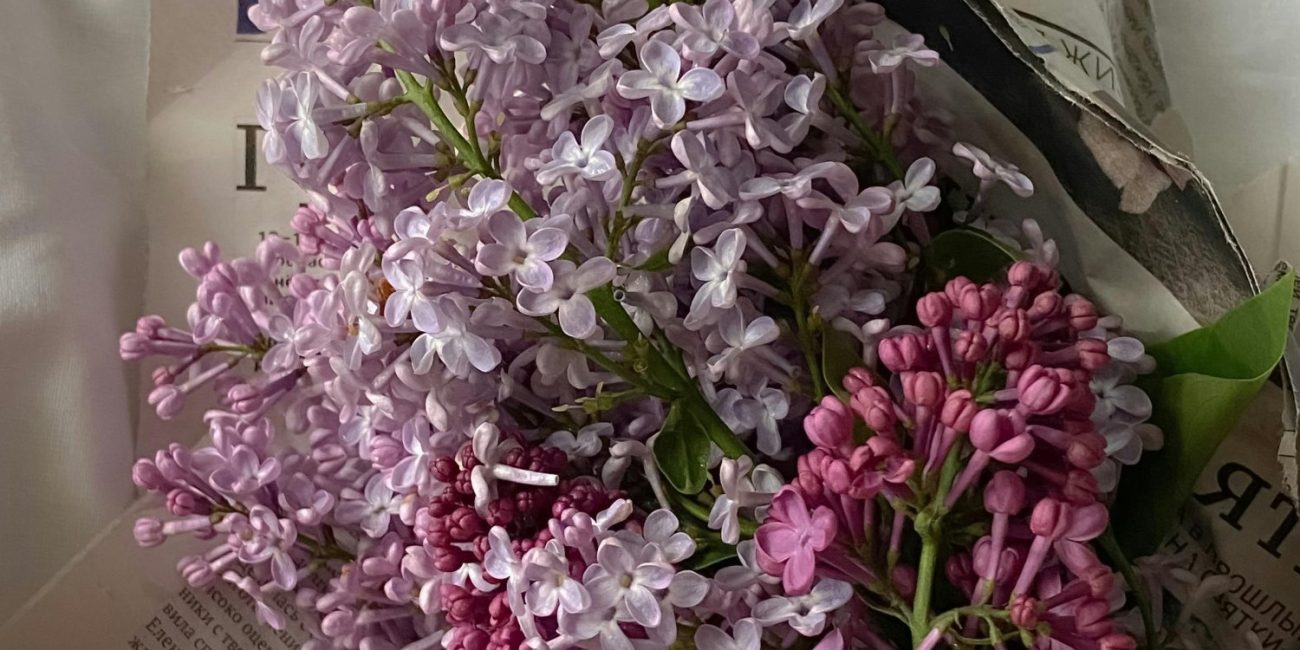 jorgivan simbolika boja