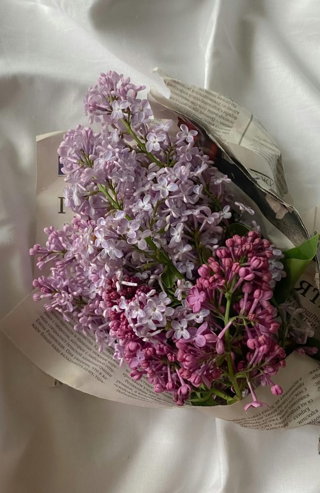 jorgivan simbolika boja