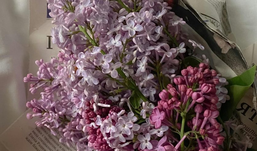 jorgivan simbolika boja