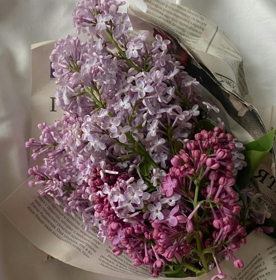 jorgivan simbolika boja