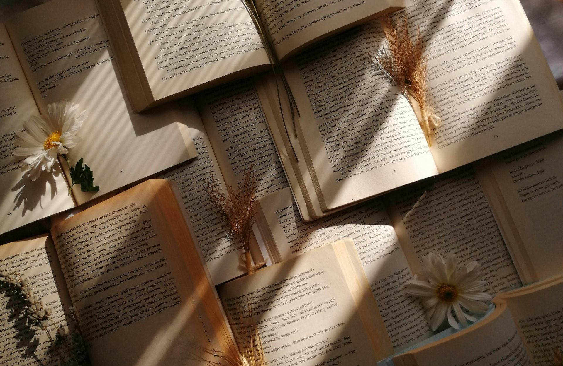 otvorene knjige meko svjetlo citati mark twain inspiracija