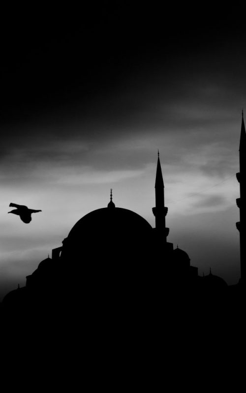 psihodinamika sukoba na bliskom istoku