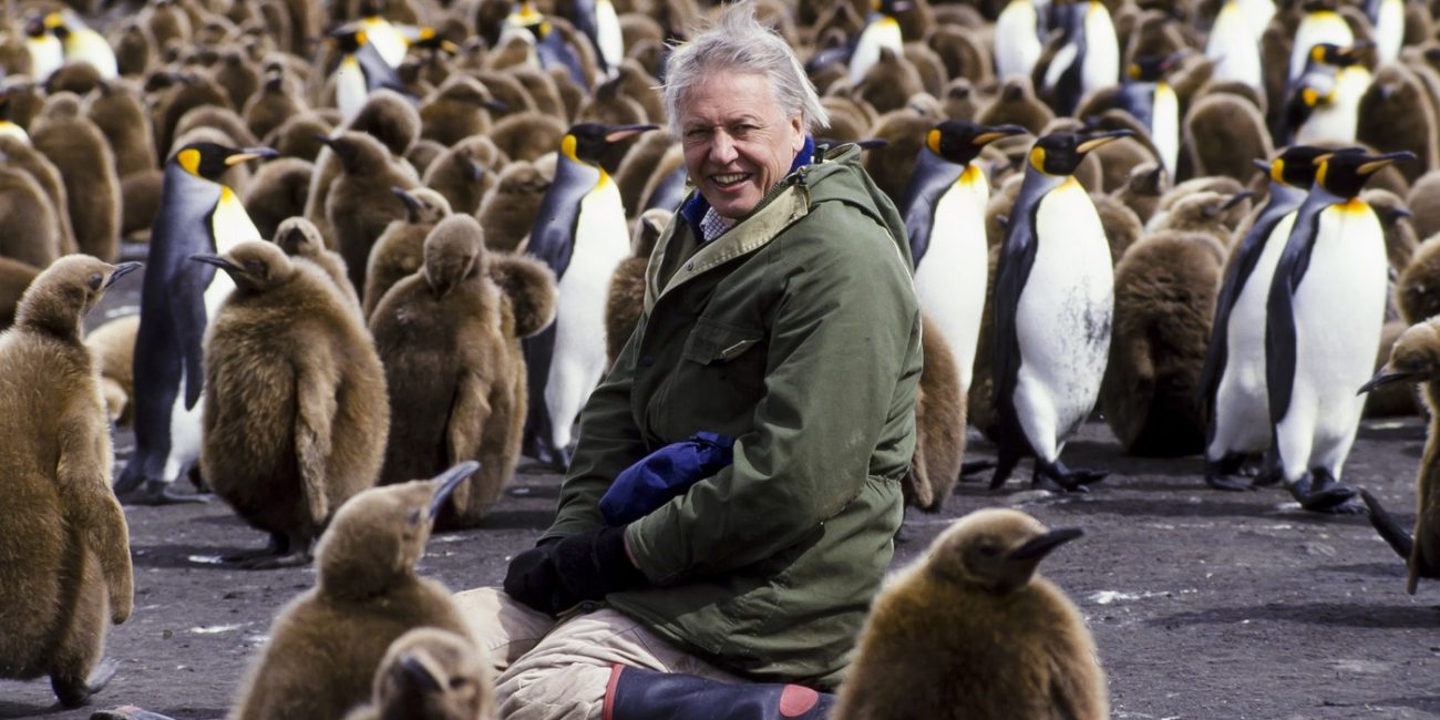 Sir David Attenborough
