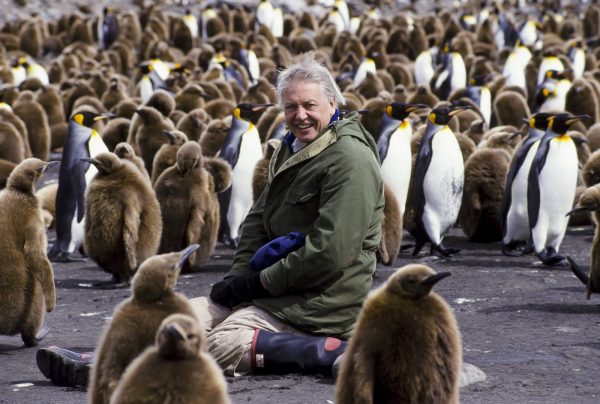 Sir David Attenborough