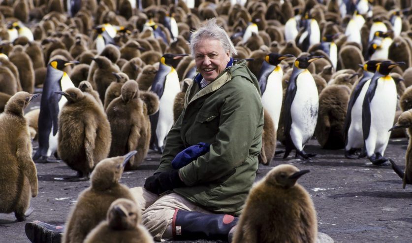 Sir David Attenborough