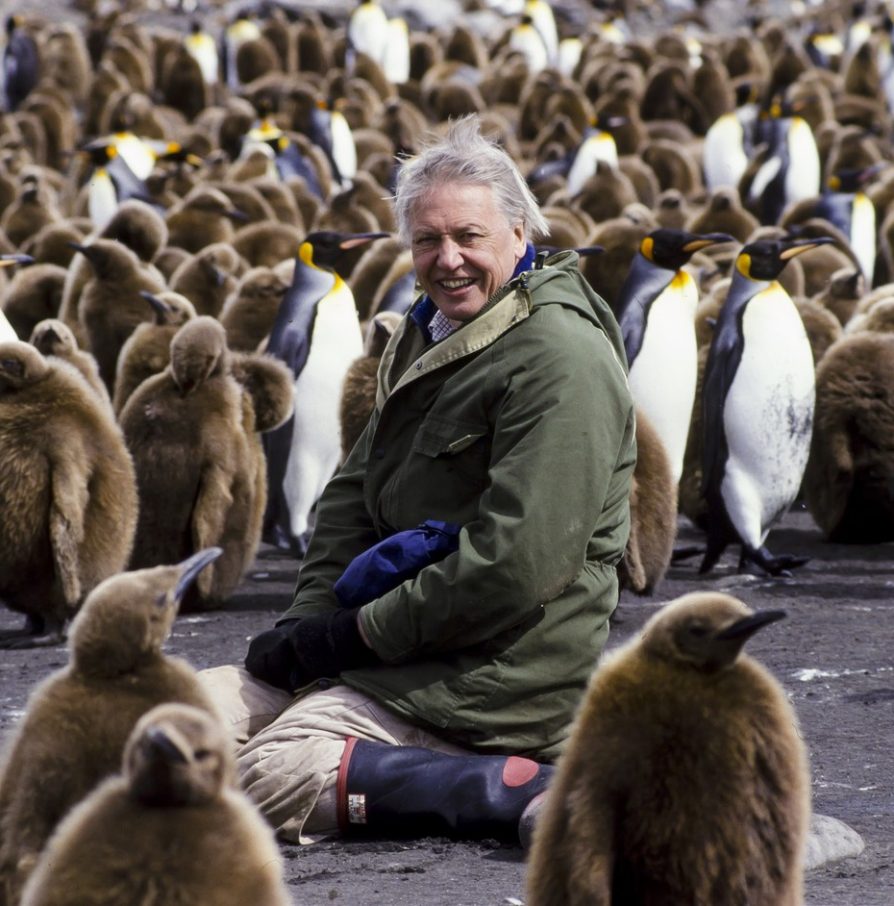 Sir David Attenborough