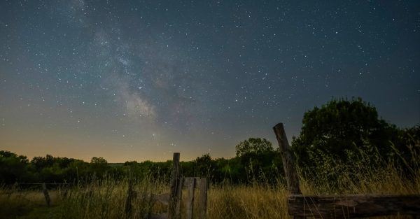 Ljetno noćno nebo prepuno zvijezda iznad livade i drveća tijekom lipnja