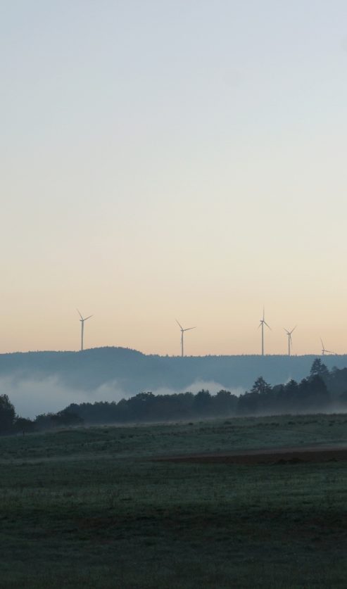 Vjetroelektrane u prirodnom krajoliku kao simbol obnovljivih izvora energije i klimatskih rješenja