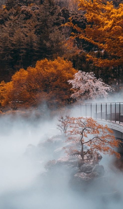 japanska filozofija življenja