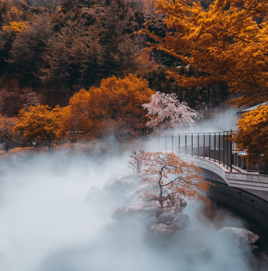 japanska filozofija življenja