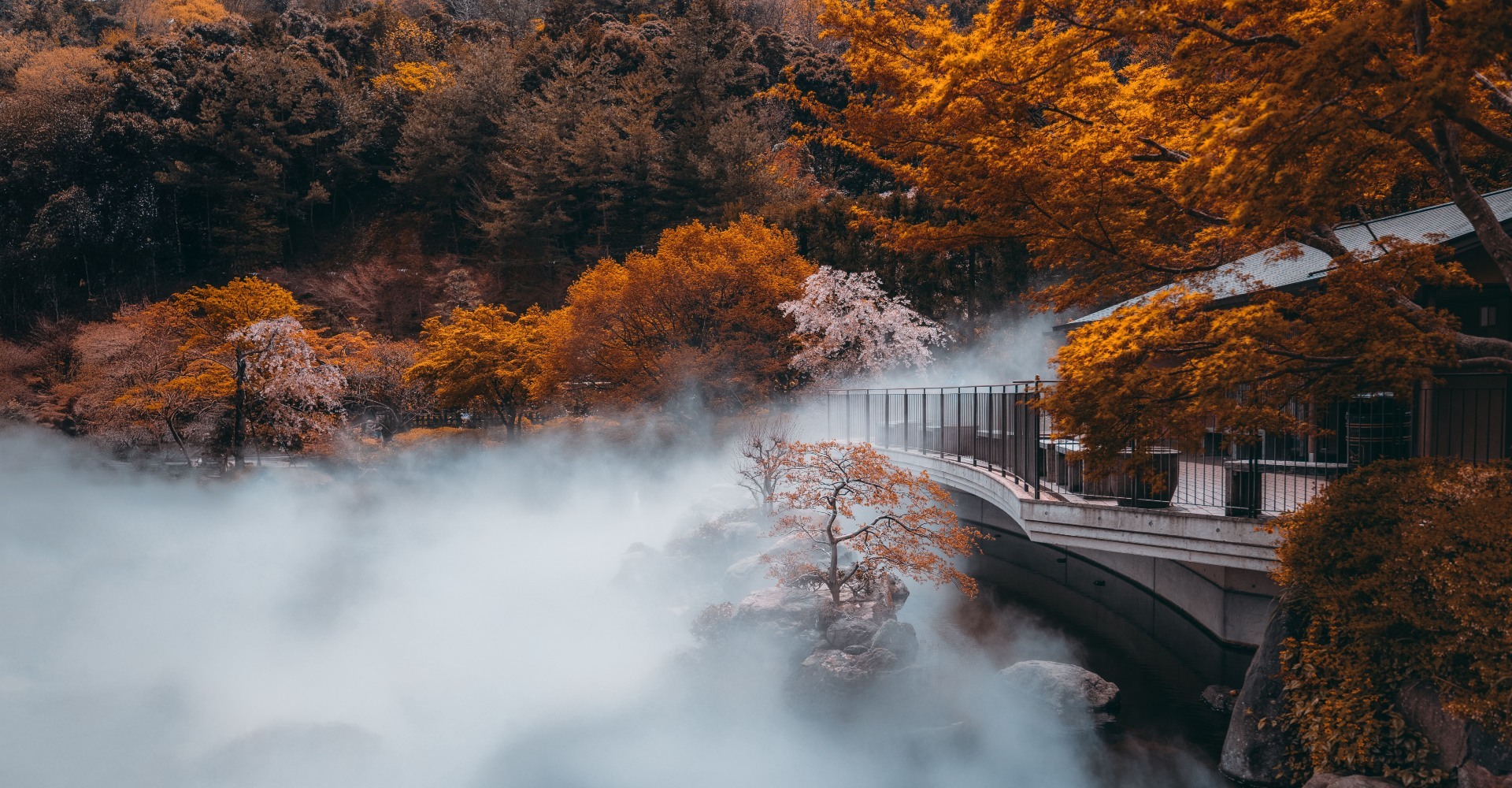 japanska filozofija življenja